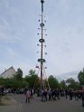 Maibaum_2018 (91)